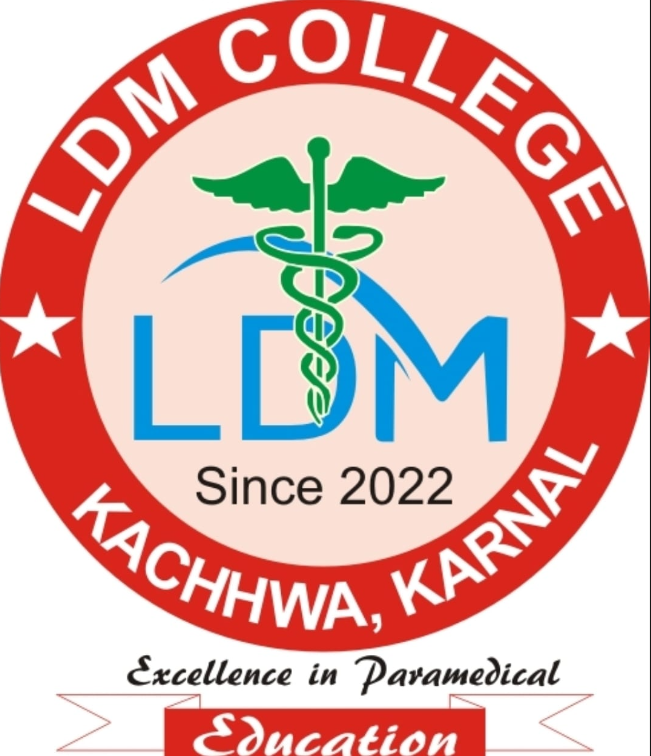 LDM College